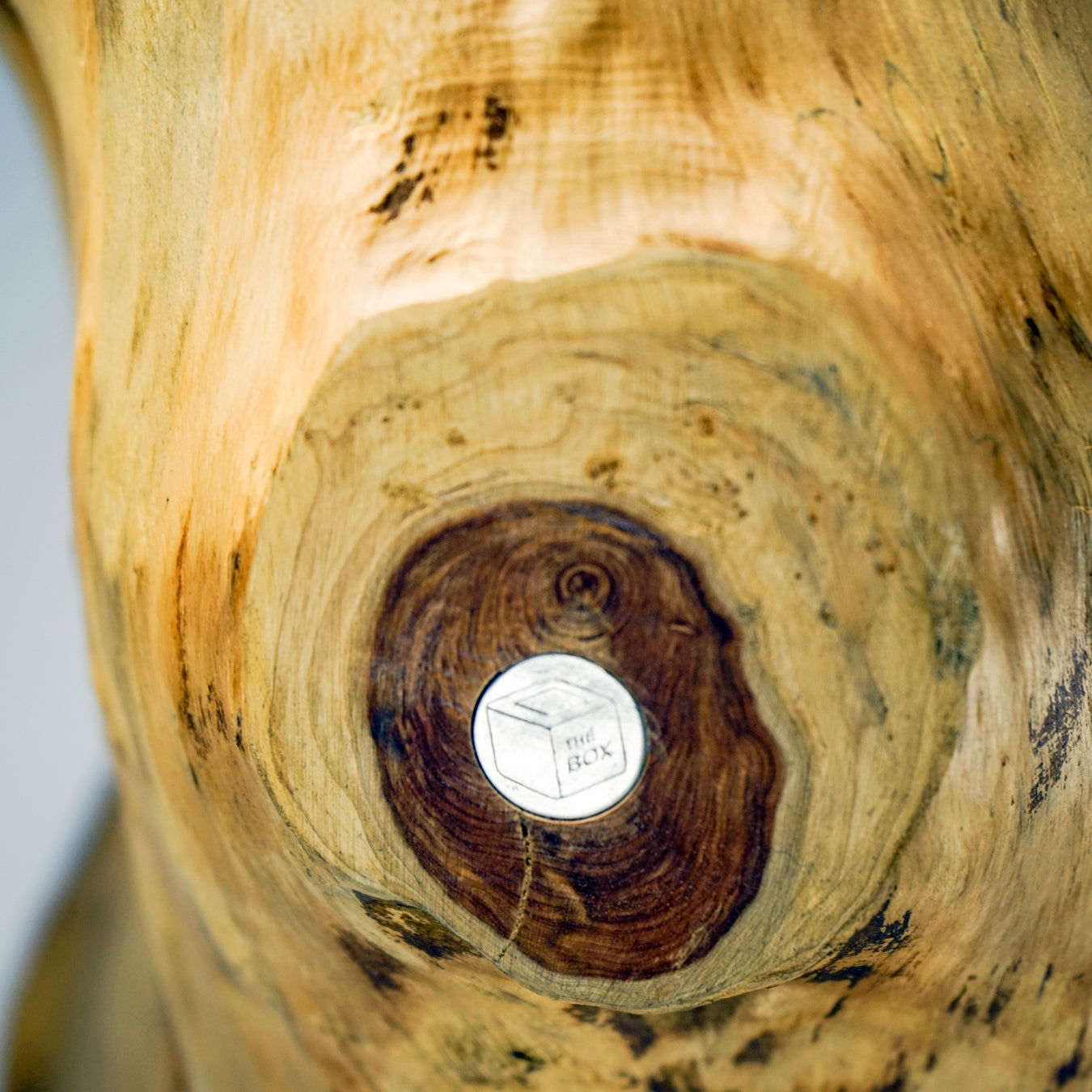 Rustic Split Tree Trunk Wine Rack